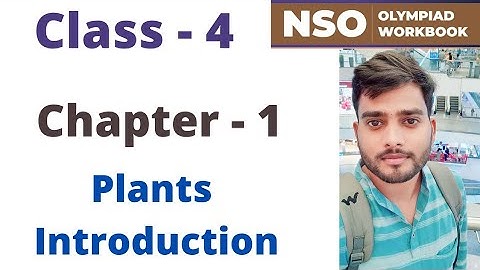 NSO ~ National Science Olympiad | Class - 4 | C - 1 | Plants ~ Introduction | By - Sudhir Sir