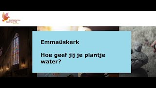 Emmaüskerk - Hoe geef jij je plantje water? by PGBarneveld 48 views 2 years ago 2 minutes, 24 seconds