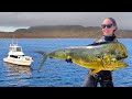 Baja Mexico, Policiá Van Chase &amp; Spearfishing Mahi Mahi Madness!