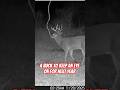 A buck to keep an eye on! 👀 #deerhunting #hunting #outdoors #deer #buck