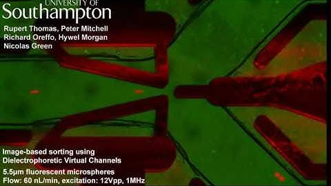 Microfluidic particle separation using dielectrophoresis (DEP)
