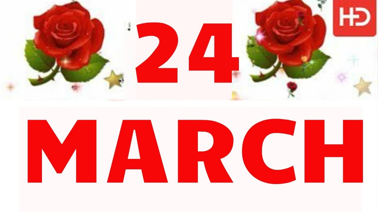 24 march special new birthday status video happy birthday wishes