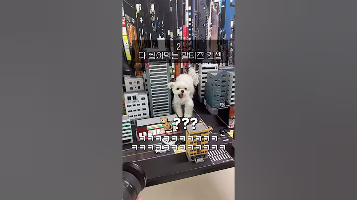 강아지 스튜디오의 실체