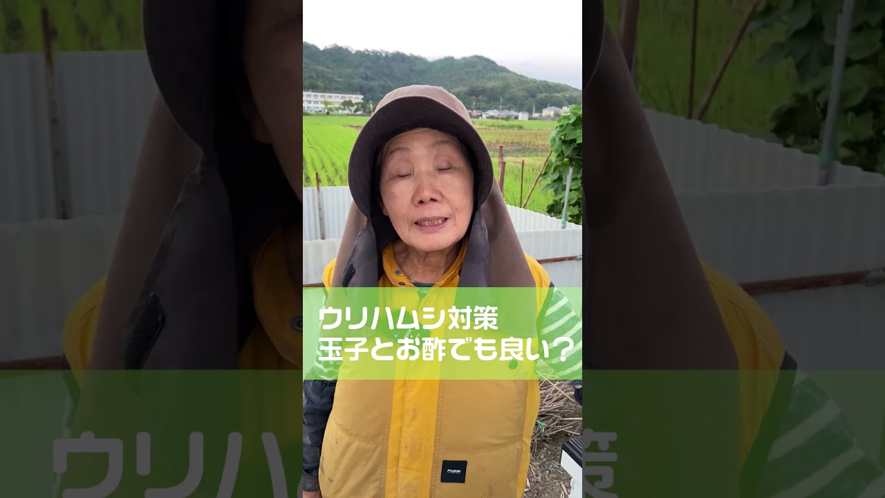 ひろちゃん農園【公式切り抜き】 - YouTube