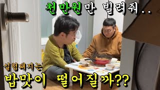 2탄 실험돼지는 기분이 잡쳐도 밥을 계속 먹을까??반전드라마 몰래카메라ㅋㅋㅋㅋ