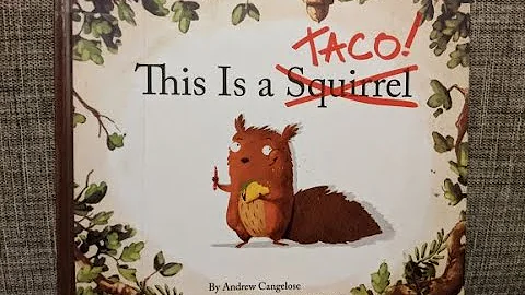 Look-A-Book: This is a Taco, by Andrew Cangelose