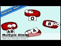 Multiple alleles abo blood types and punnett squares