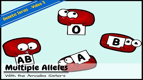 Multiple Alleles (ABO Blood Types) and Punnett Squares - DayDayNews
