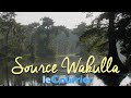 Wakulla springs  les plus grandes sources du monde en floride