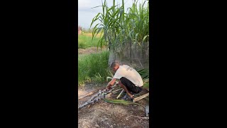 这是哪一计?😂😂#funny #结果出乎意料 #搞笑 #内涵段子 #comedy#shorts