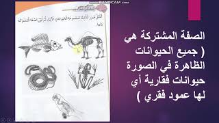 مدرسة الحكماء | الصف الثالث | علوم | تصنيف الحيوانات