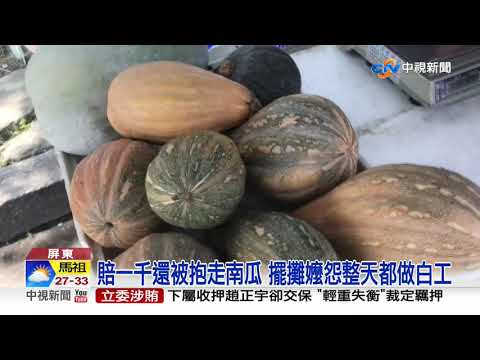 劣! 駕駛撞路邊攤 強索阿嬤1千抱走5南瓜│中視新聞 20200808