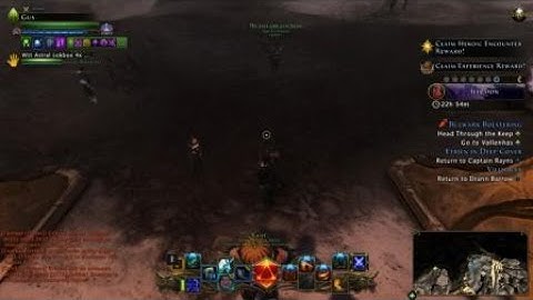 Neverwinter Eladrin Collection Point Bug