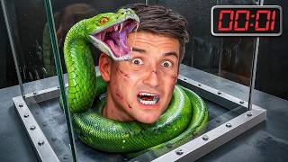 Am fost INCHIS cu ZECI de PAIANJENI!