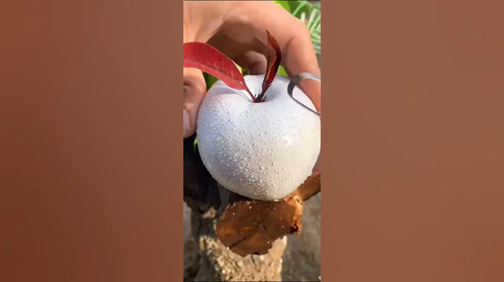 3 Brutal Truths Keeping You BROKE | Fix This to Get RICH in 2025