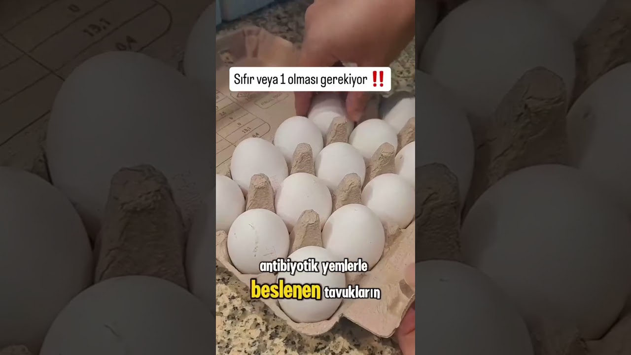 aman dikkat #yumurta #gezentavukyumurtası #yemektarifleri #pratikbilgiler