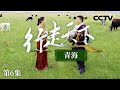 《行走天下——青海》 “青海文化印记”：多民族艺术的传承与融合 EP06【CCTV纪录】