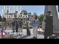 【青信号 / Furui Riho】Acai Sakurai(アカペラ)