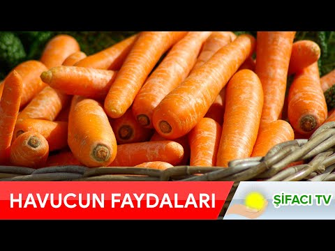 Video: Yaban Havucu Haksız Yere Unutulmuş Sağlıklı Bir Kök Mahsulüdür