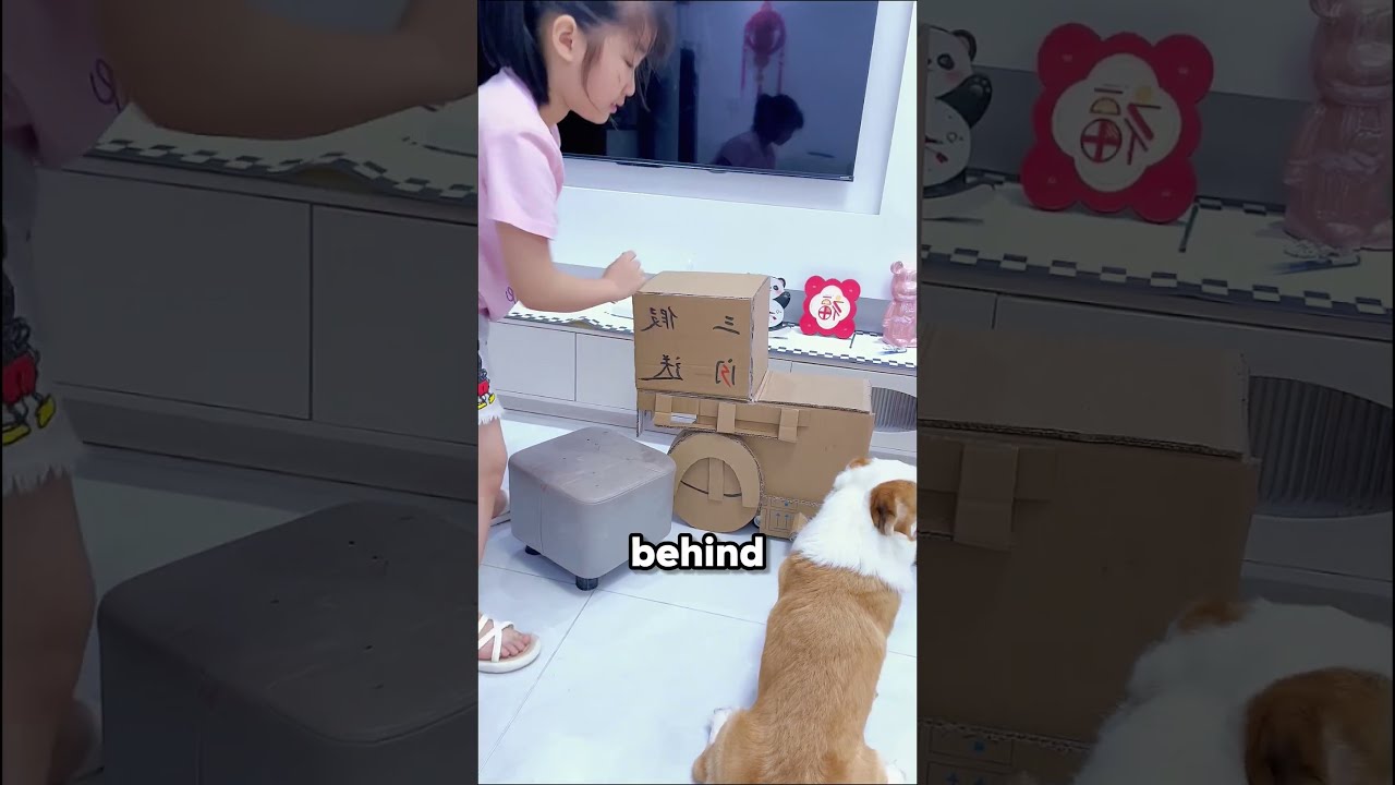 This Girl Made A Cardboard Motorcycle For Her Cat And Dog 
