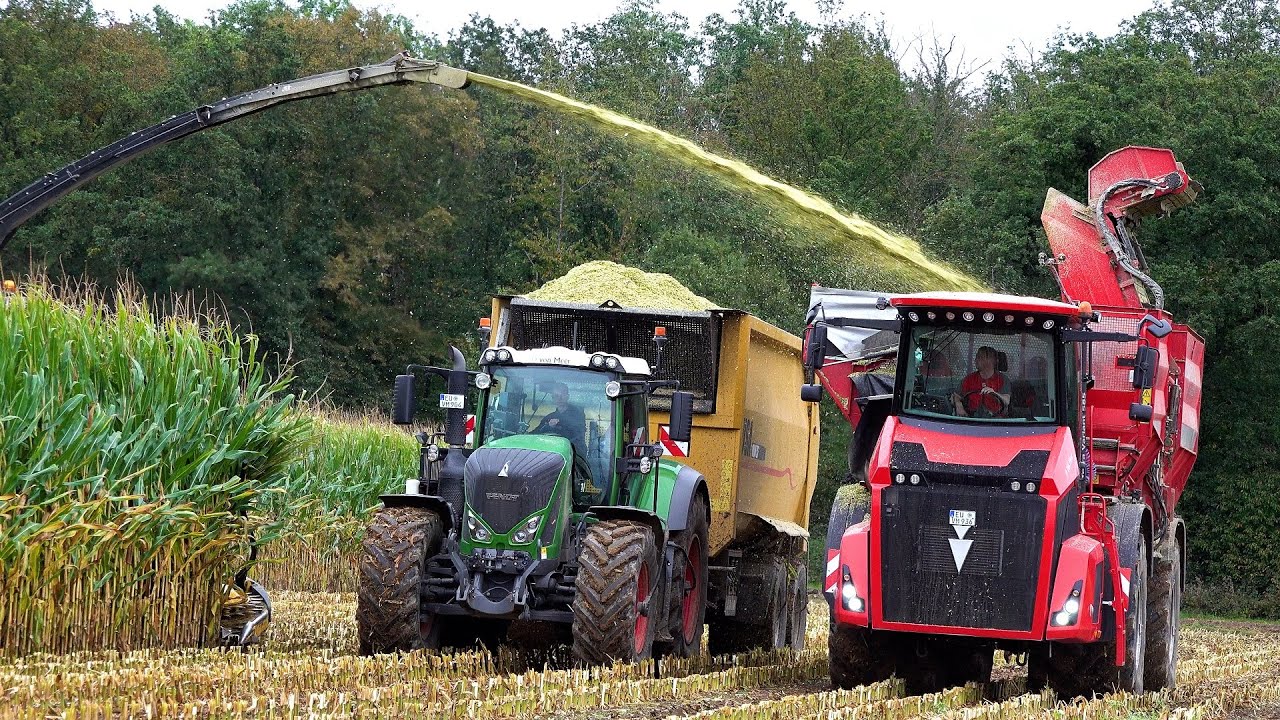 Mas 2024 : New Holland FR920 | Von Meer | Holmer Terra | Maisernte |  Scania | Mais harvest | Fendt