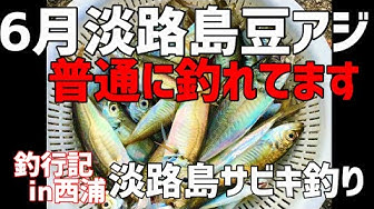 淡路島釣り Youtube