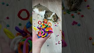 Cat Barsik Beads 🌈 Magnetic balls 🔥 Reverse video