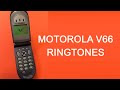 Motorola V66 Original Ringtones 2001 