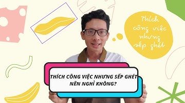 Thích Công Việc Nhưng Sếp Ghét Nên Nghỉ Không
