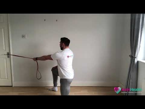 Banded S/A Vertical Row- Home Workout
