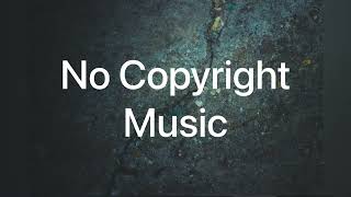 Nico Staf | Snake on the Beach(Vlog No Copyright Music)