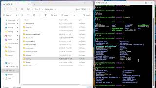 Learn Linux Command basic in Git Bash Windows