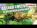 Адская смесь против болезней и вредителей в саду и огороде