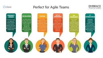 ALM Octane - A short Introduction