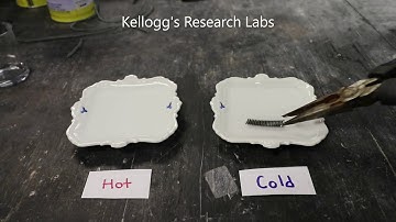 Nitinol Kellogg