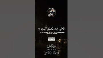 {أَرَأَيْتَ إِن كَذَّبَ وَتَوَلَّىٰ (13)}| محمد صديق المنشاوي | سورة العلق.