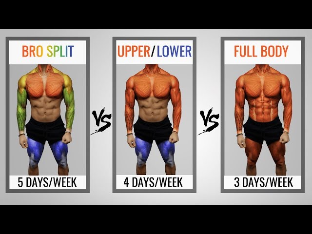 The Best Science-Based Workout Split To Maximize Growth (Choose Wisely!) -  Youtube