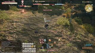 FFXIV Male Elezen Marauder Animation Bug