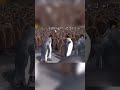 📢 Розмова в кулуарах науковців 🧑🔬👩🔬🐧