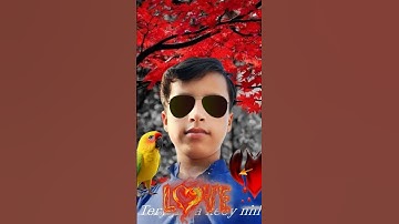 Photo editing in pixellab#shorts #shortsviral #editing