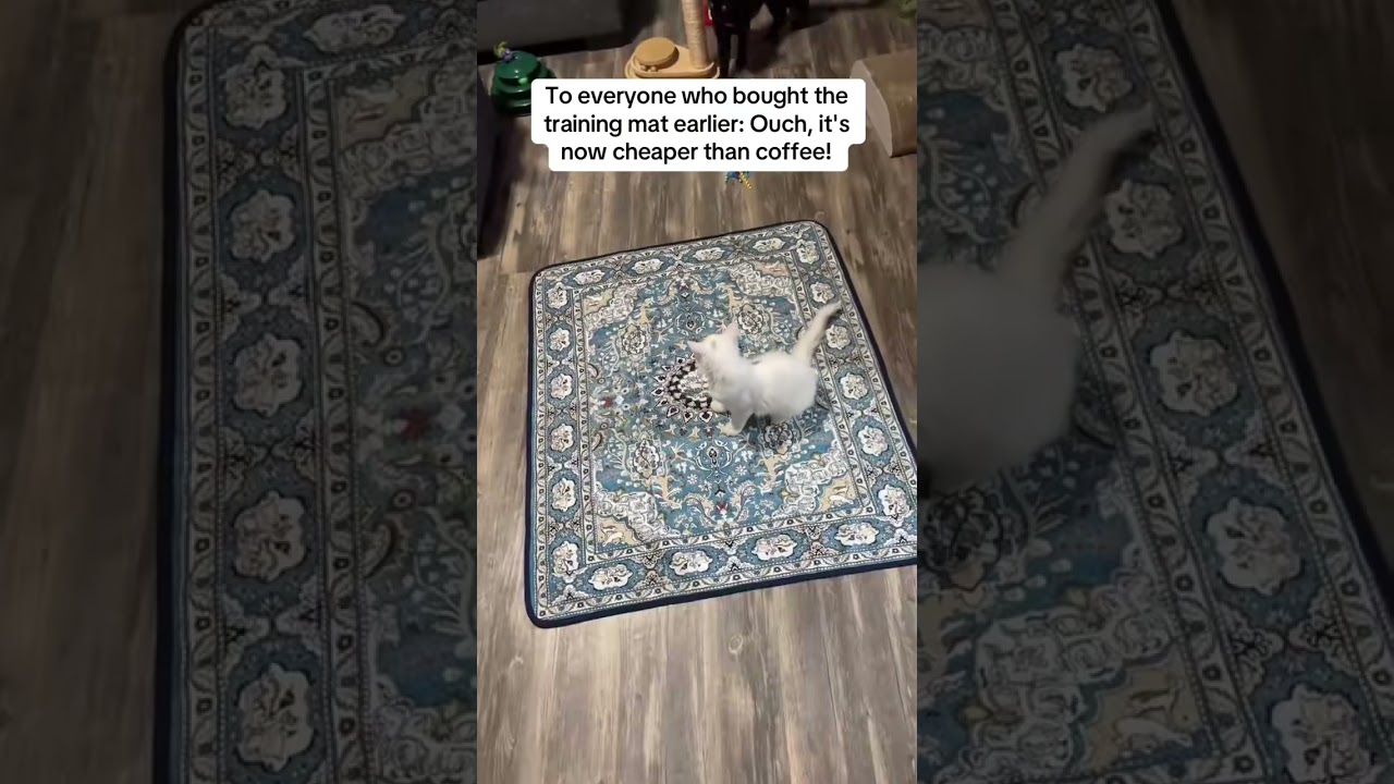 Eco-Friendly Pet Home Decor 