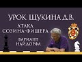 Видеоурок Д.В. Щукина. Атака Созина-Фишера в варианте Найдорфа Сицилианской защиты