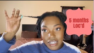 5 Month Update On 4c Starter Locs | Naomi Onlae 5 Month Update On 4c Starter Locs | Naomi Onlae