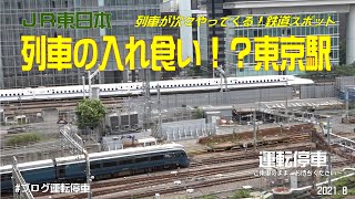 【ＪＲ東日本】東京駅列車が止まらない！次々とやってくる鉄道スポット