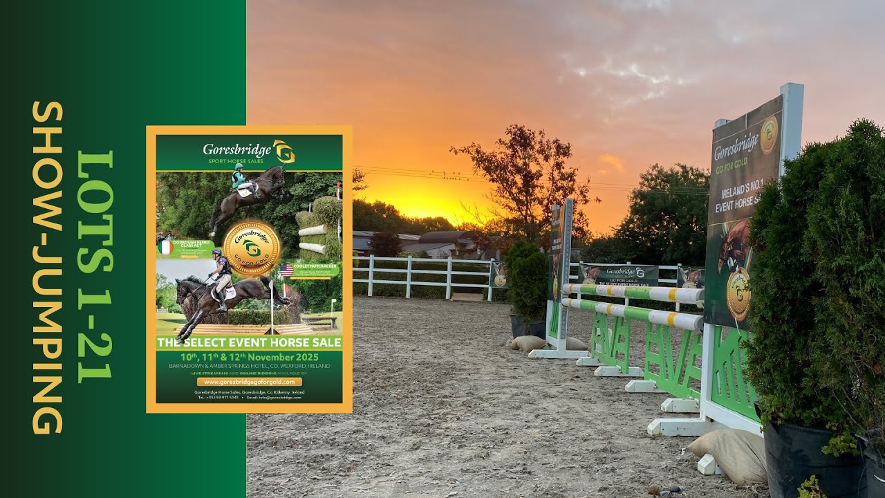 Goresbridge Go for Gold Sale 2025: Lot 1-21 - Showjumping