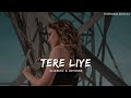 Tere liye  lofi slowed  reverb  lata mangeshkar  roop kumar rathod