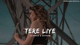 Tere Liye - Lofi (Slowed + Reverb) | Lata Mangeshkar & Roop Kumar Rathod