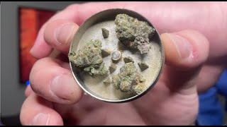 BLACK CHERRY GELATO Strain Review