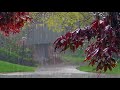 Дождь, гром, гроза Расслабляющие звуки природы Усыпляющие звуки летнего дождя