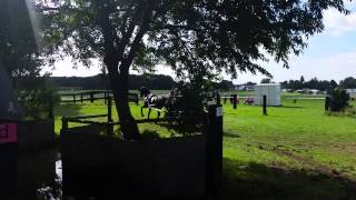 Gelände Einspänner Pferde Wasserhindernis